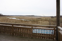 Tornista näkymä kosteikolle päin..