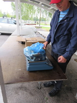 Jäsenten väliset onkikilpailut 4.9.2018