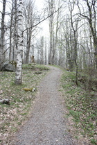 Polku johtaa pois .....